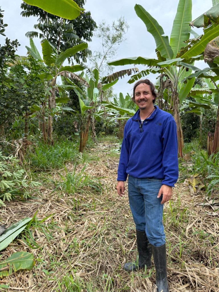 A aposta na agrofloresta para transformar a bananicultura no Vale do Ribeira
