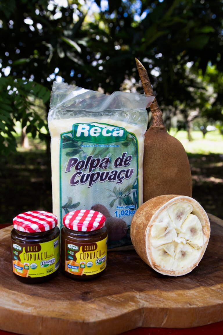 RECA aposta na agrofloresta como caminho de renda, resiliência e conservação na Amazônia